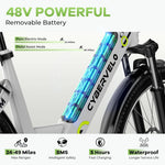 YorkE Adult Electric Commuter Bike